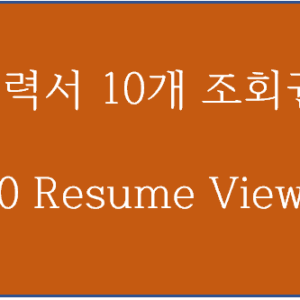 이력서 10개 조회권