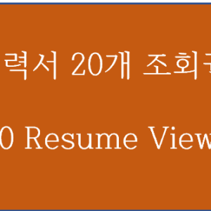 이력서 20개 조회권